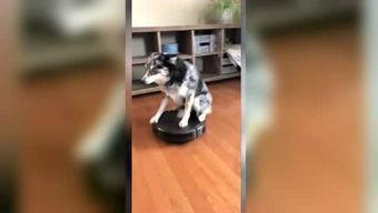 国产自拍视频出租房,国产自拍视频出租房探秘