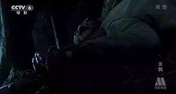 国产电影震撼的视频素材,视觉冲击下的情感共鸣