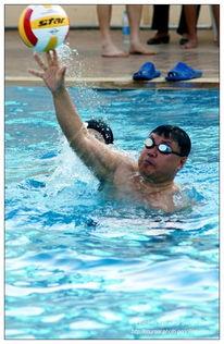 国产游泳抓拍视频网站,国产游泳抓拍网站带你领略泳坛风采