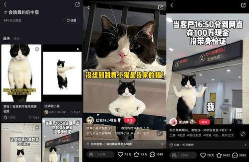 国产网爆视频,揭秘热门事件背后的真相