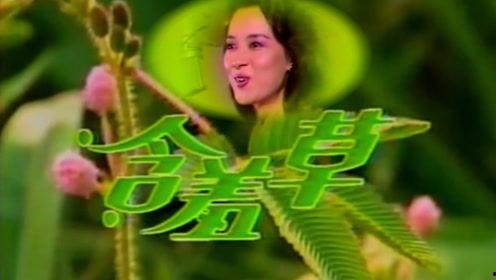 含羞草国产资源在线视频