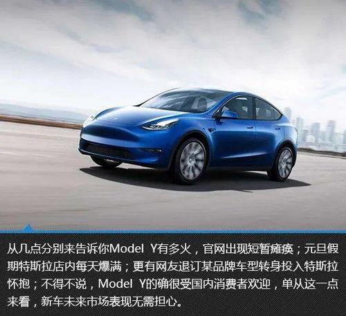 国产特斯拉model y试驾视频
