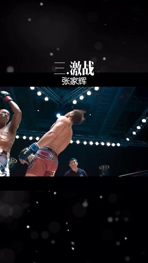 国产猛男视频网站,展现中国男性力量与魅力的新平台