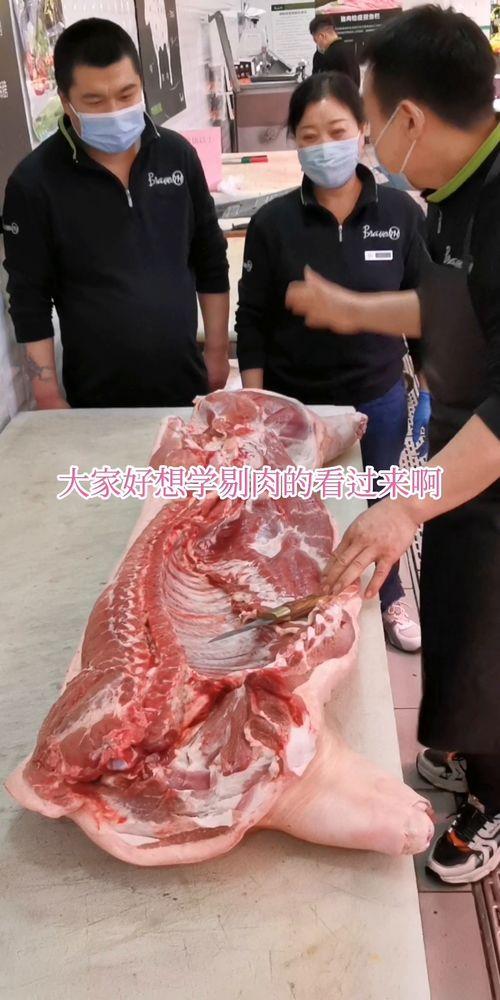 国产分割牛腩条视频大全