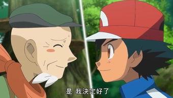 国产动画伤感视频大全,泪目回忆录