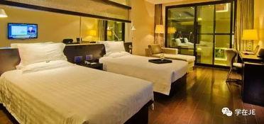 国产一级酒店视频免费,免费视频带你领略奢华体验